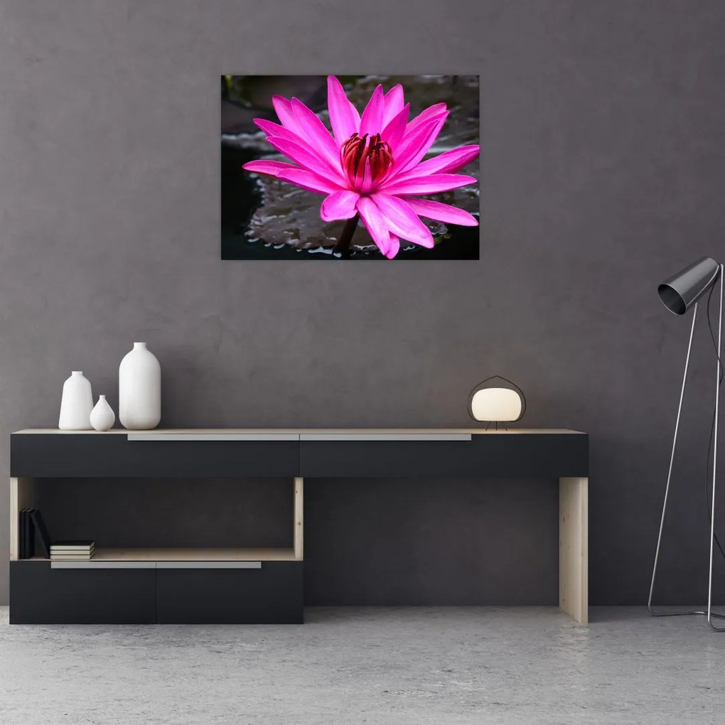 Tablou - floarea roz (70x50 cm)