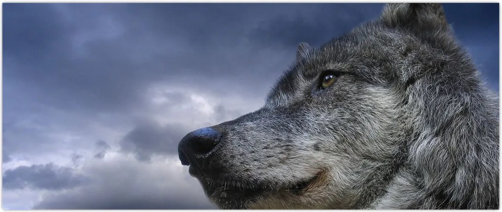 Tablou - Cap de lup (120x50 cm)