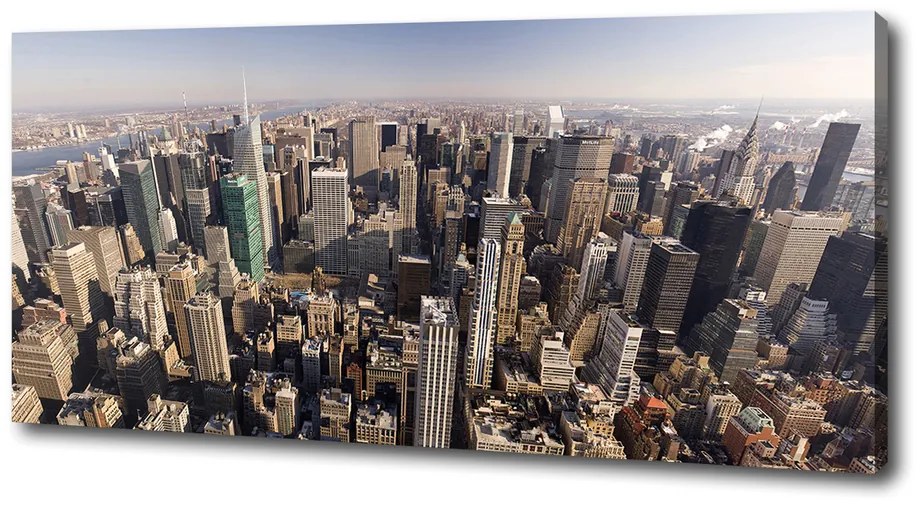 Tablou canvas New york pasăre de zbor