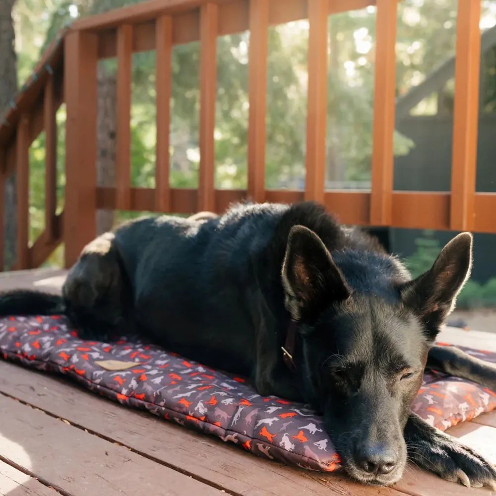 Pat de călătorie maro pentru câini 50x75 cm Outdoor Chill Pad Mocha M – P.L.A.Y.