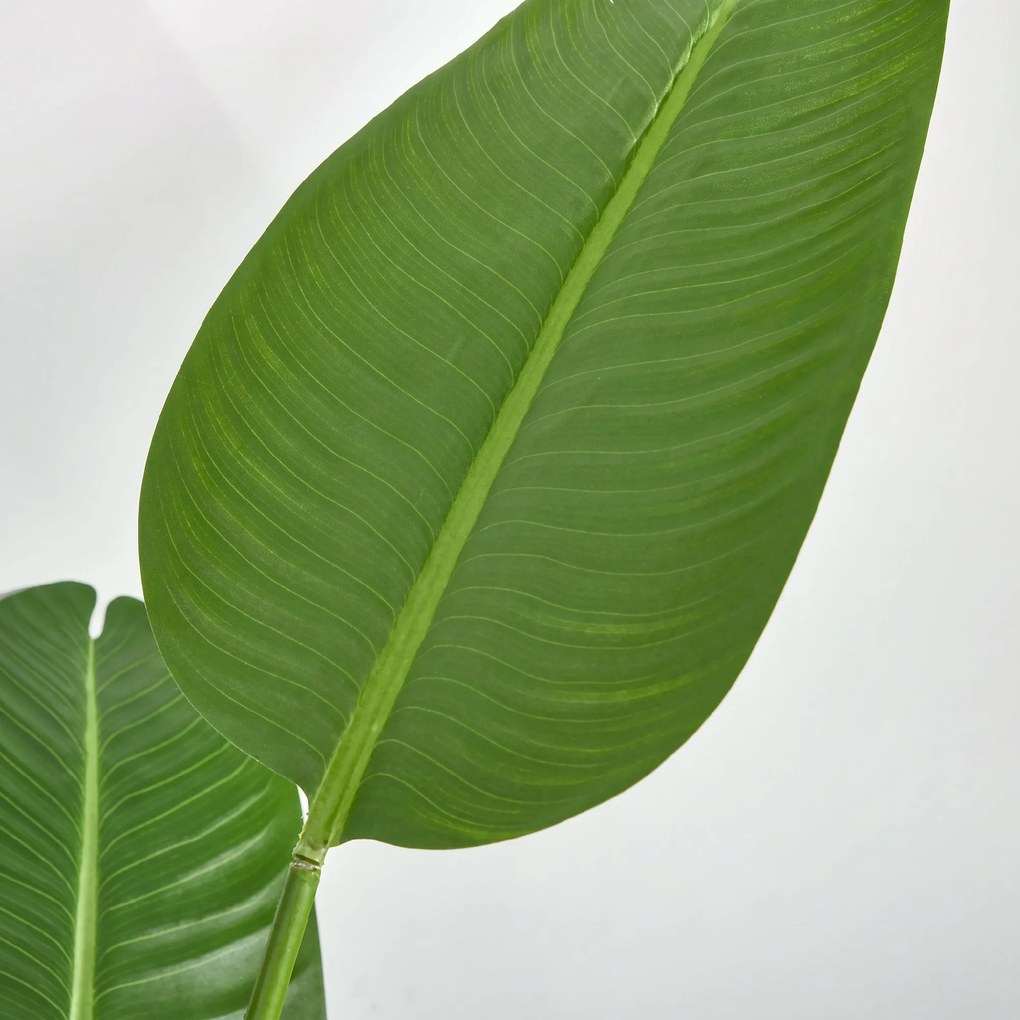 HOMCOM Bananier Artificial 160 cm cu Ghiveci și 10 Frunze Realiste, Plantă Artificială Tropicală pentru Decorațiuni Interioare și Exterioare, Verde | Aosom Romania