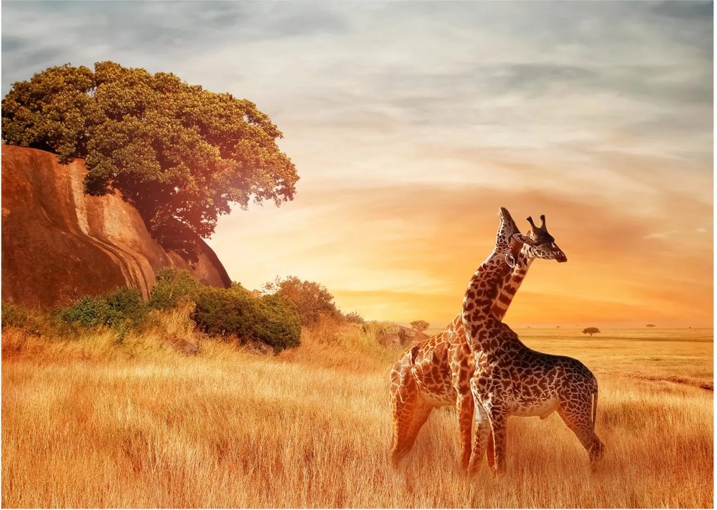 Tablou pe sticlă Girafe în Africa (70x50 cm)