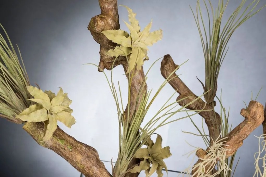 Aranjament floral elegant EASTER GRASS, 60x50cm