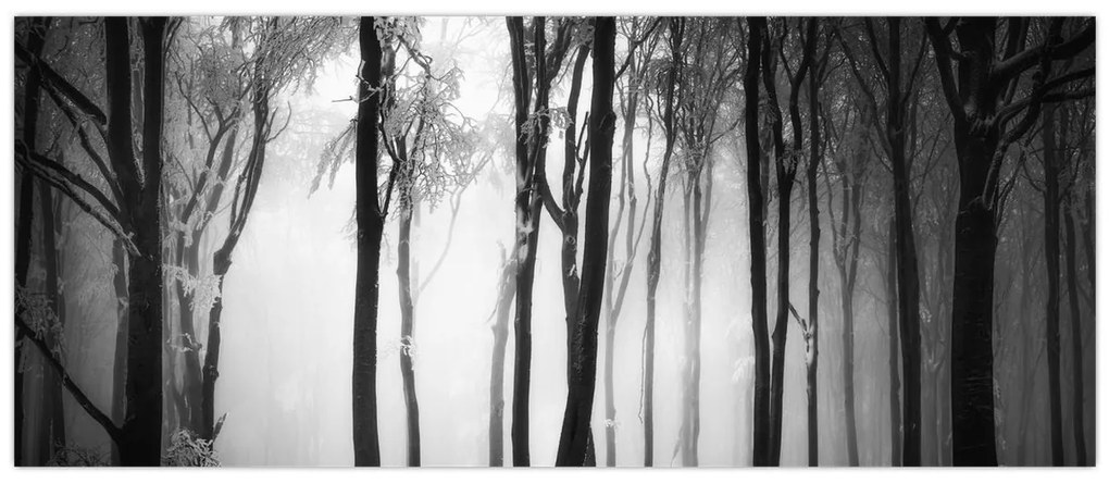 Tablou - Lup în pădurea întunecată (120x50 cm)