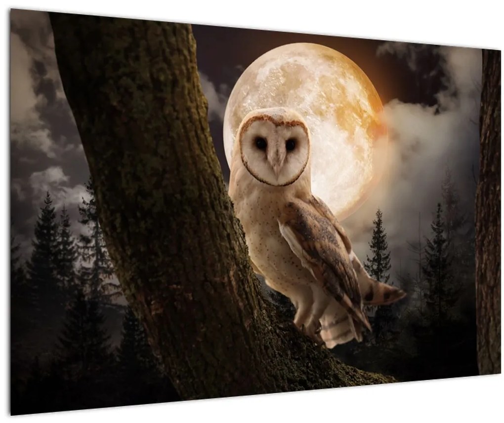 Tablou cu bufnița (90x60 cm)