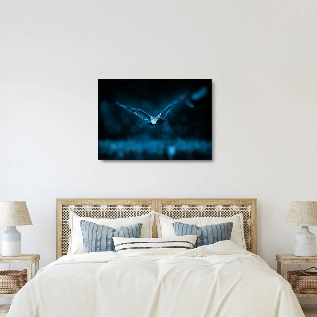 Tablou pe sticlă cu bufnița zburând (70x50 cm)