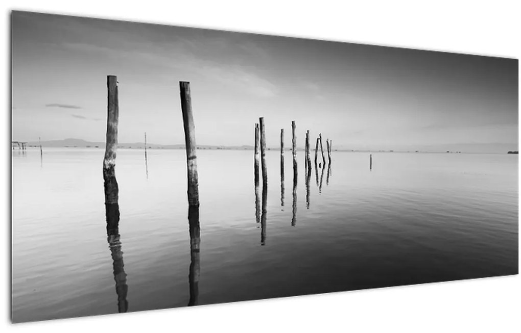 Tablou cu nivelul de lac alb negru (120x50 cm)