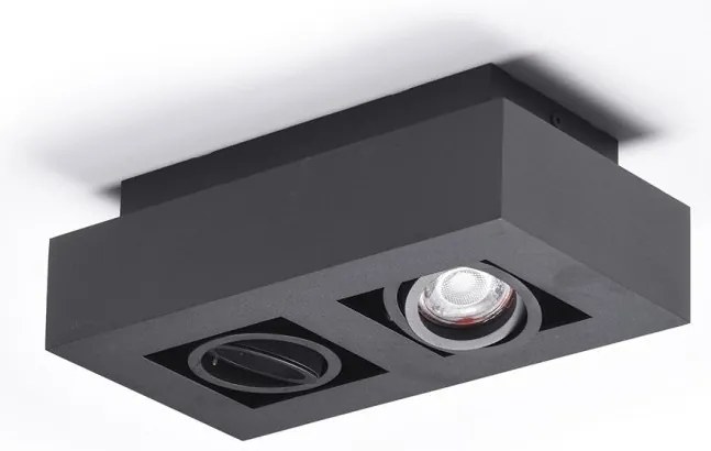 Spot aplicat directionabil de tavan/plafon NIKEA 2 GU10 negru