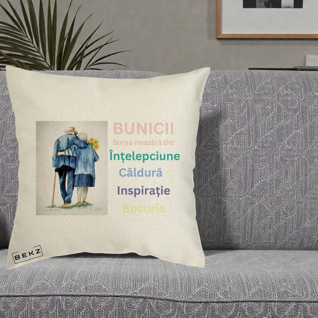 Cadou pentru Bunici - Perna Personalizata Bunicii Sursa Intelepciune Caldura Acuarela, 40x40 cm, Ecru, Husa Detasabila, Perna Inclusa, BEKZ®