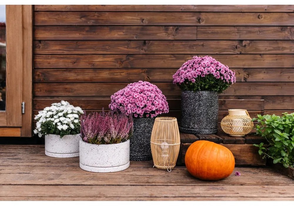 Set 2 ghivece gri închis Bonami Selection Terrazzo, ø 26 cm