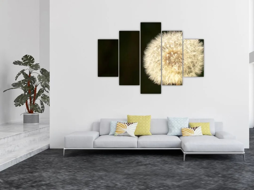 Tablou cu păpădie gri (150x105 cm)