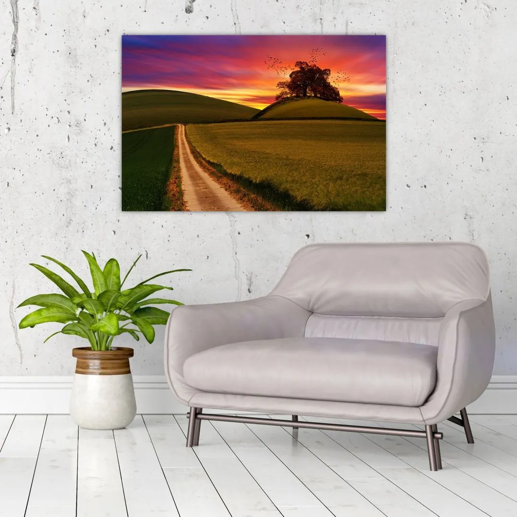Tablou câmpului cu apus de soare (90x60 cm)