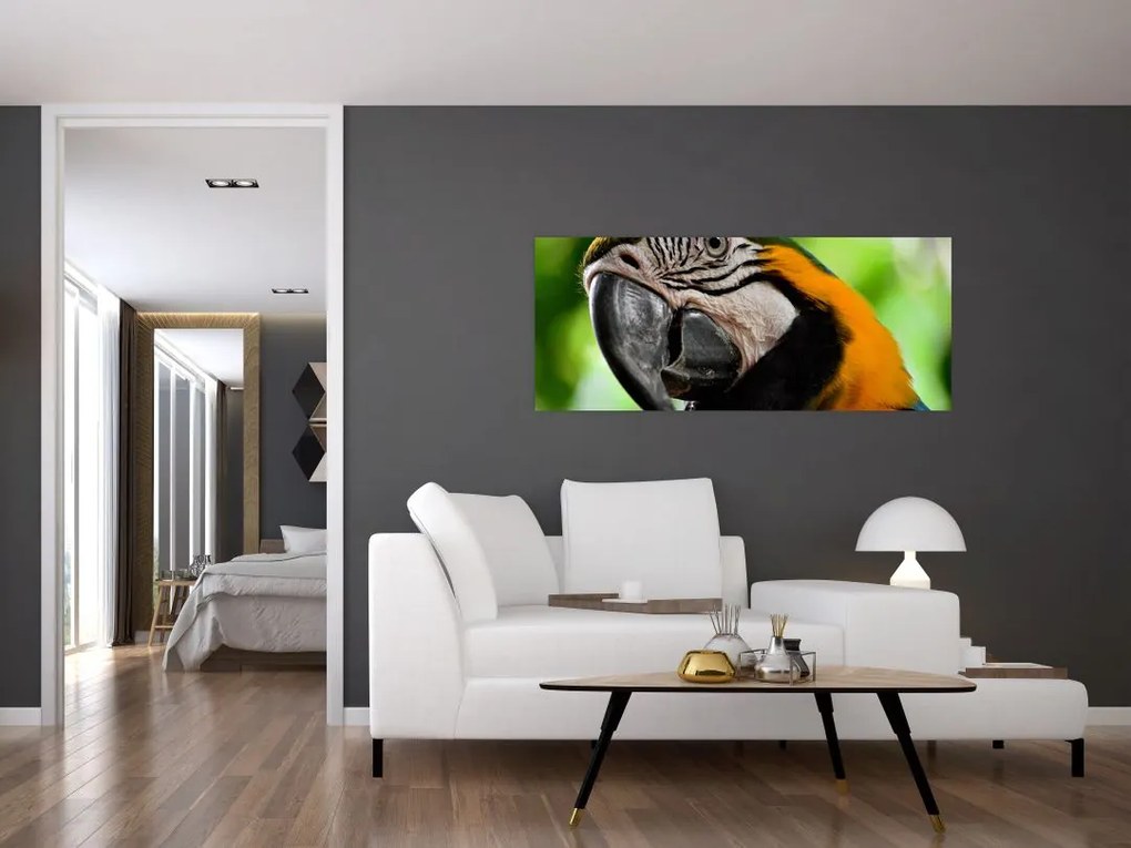 Tablou cu papagal (120x50 cm)