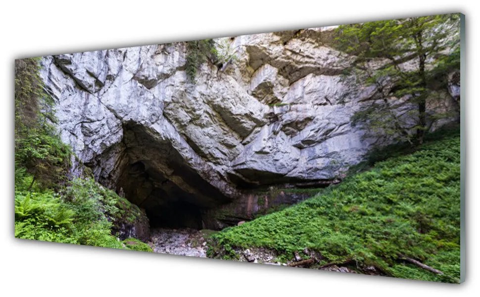 Tablou pe sticla Munte Cave Natura Verde Gri