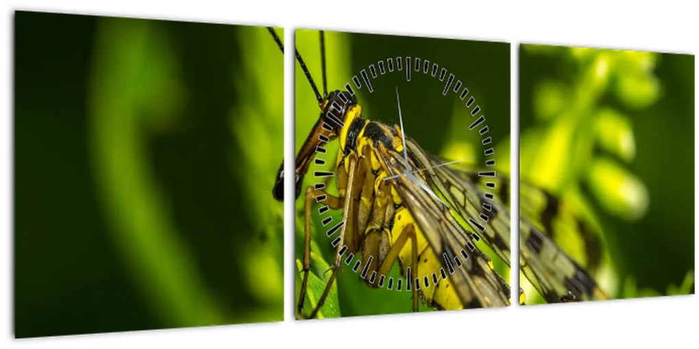 Tablou cu omide (cu ceas) (90x30 cm)