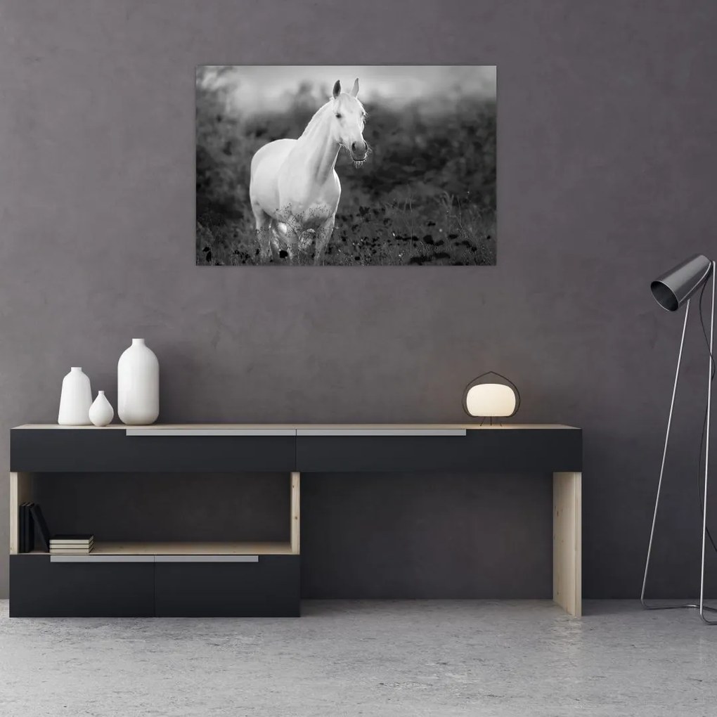 Tablou - Cal alb în poină (90x60 cm)