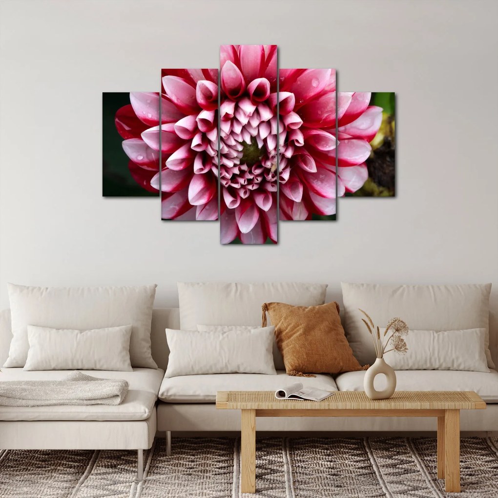 Tablou cu dalie roz (150x105 cm)