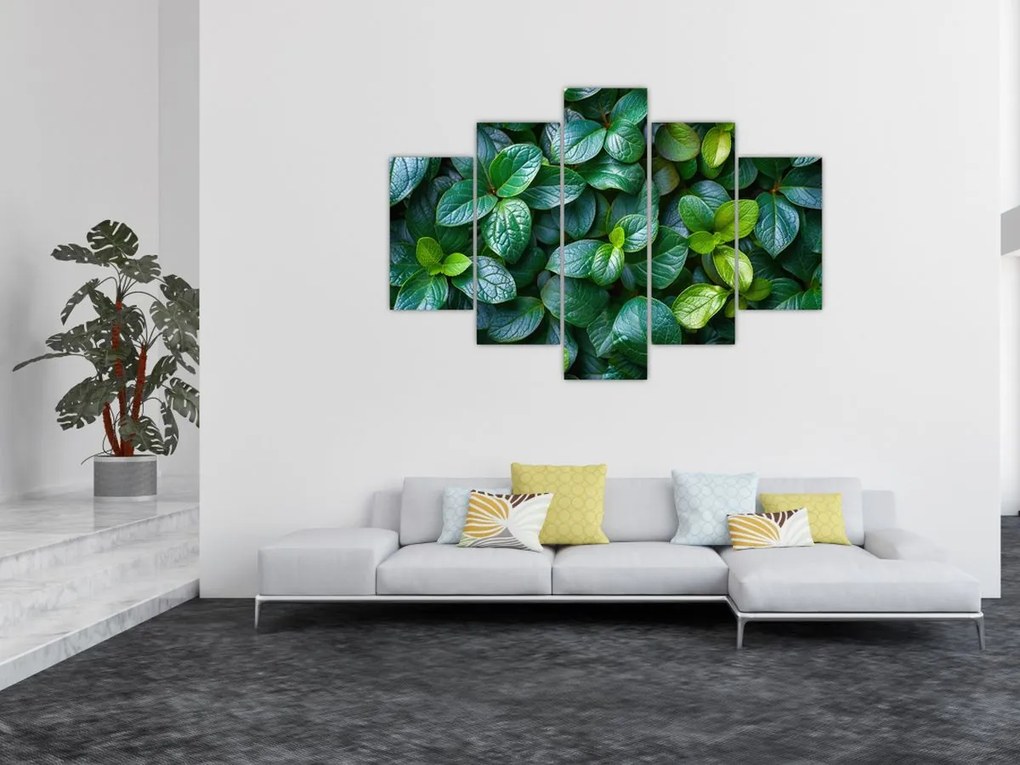 Tablou - Plante verzi (150x105 cm)