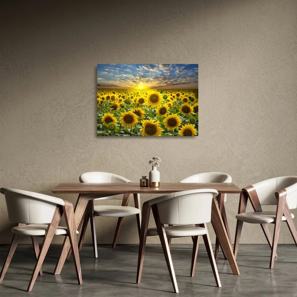 Tablou pe sticlă - Floarea-soarelui la apus de soare (70x50 cm)