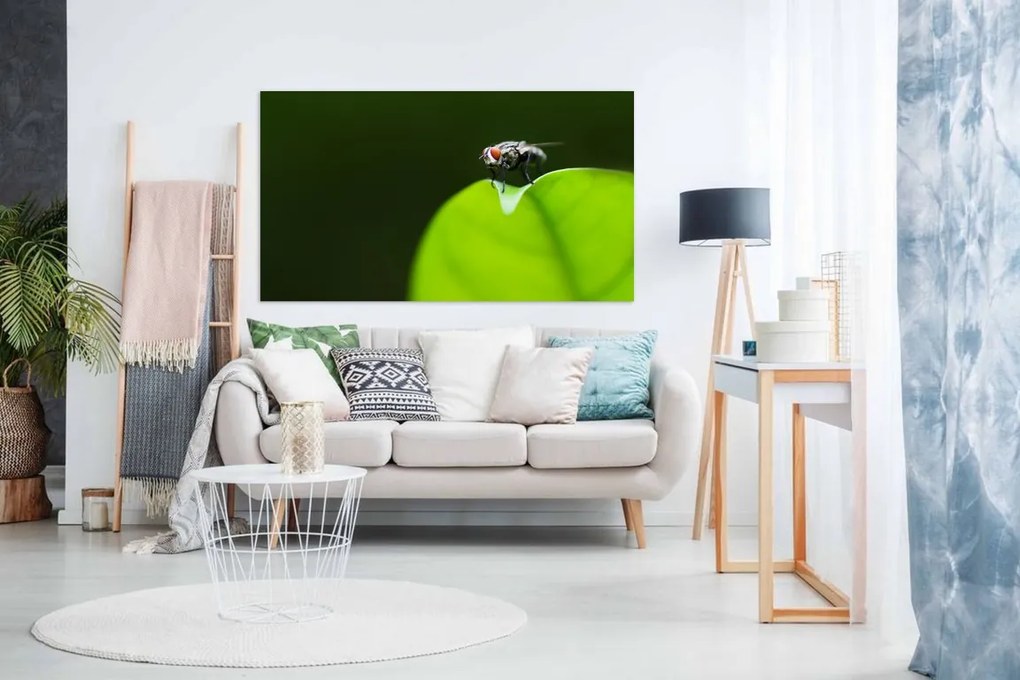 Tablou canvas gază pe frunză - 120x80cm