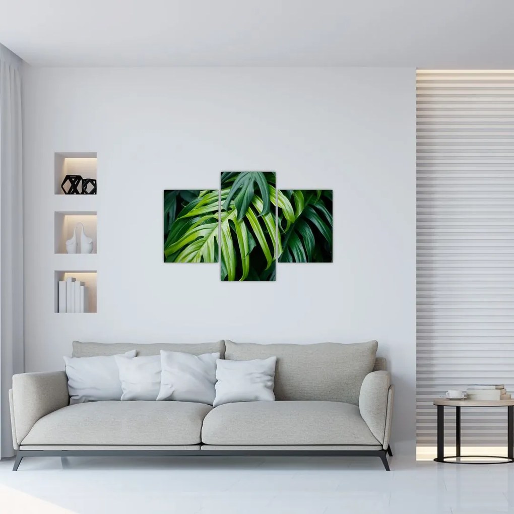 Tablou - Frunze tropicale (90x60 cm)