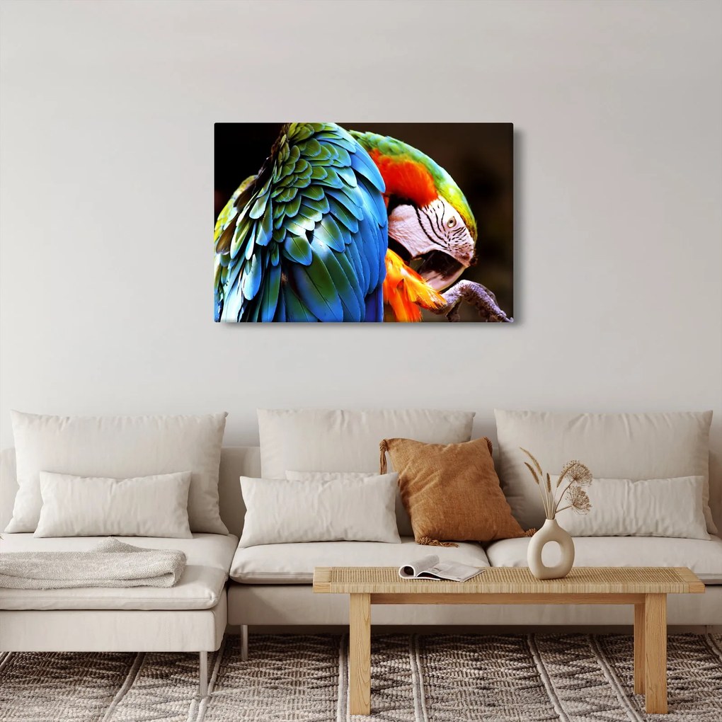 Tablou - Papagal (90x60 cm)