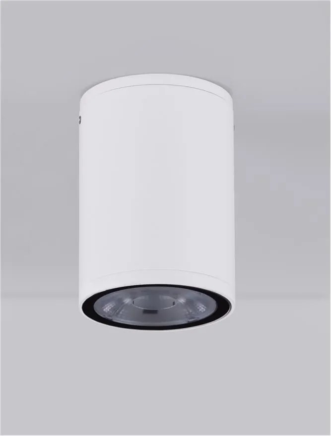 Spot LED aplicat de exterior IP65 LUMINA D-6,5cm alb