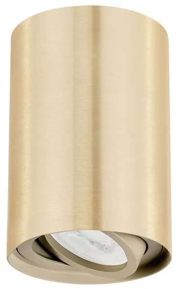 Spot aplicat tavan directionabil San auriu