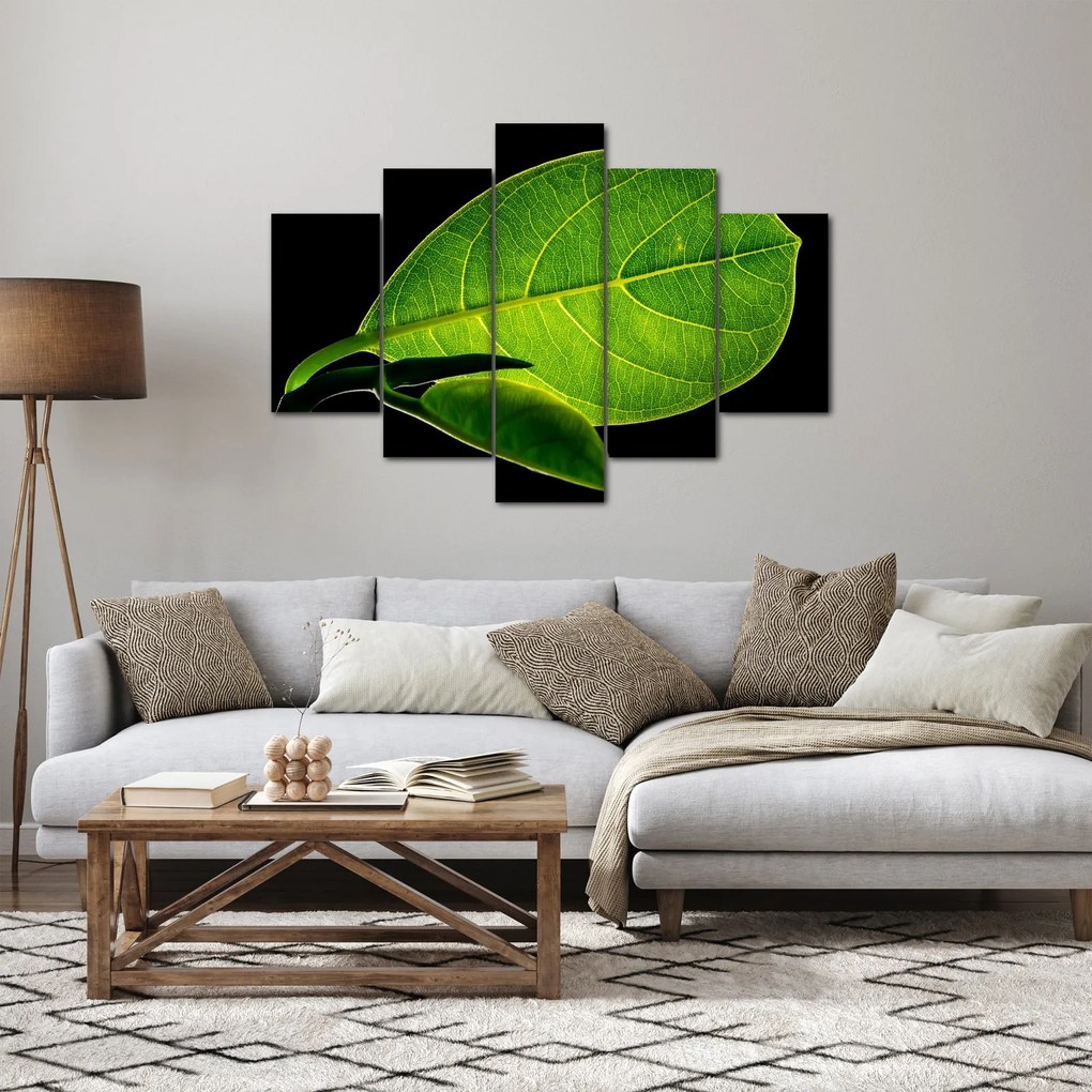 Tablou - frunză verde (150x105 cm)