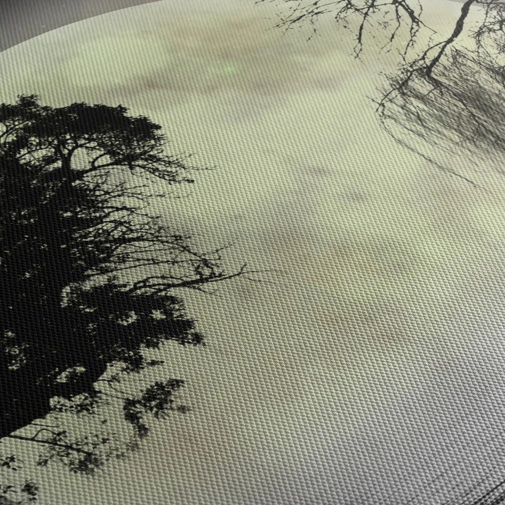 Tablou - Lună plină deasupra apei (120x50 cm)
