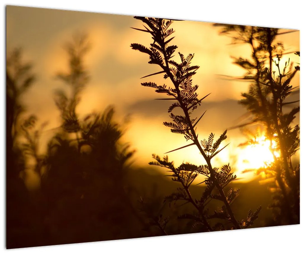 Tablou - Apus de soare (90x60 cm)