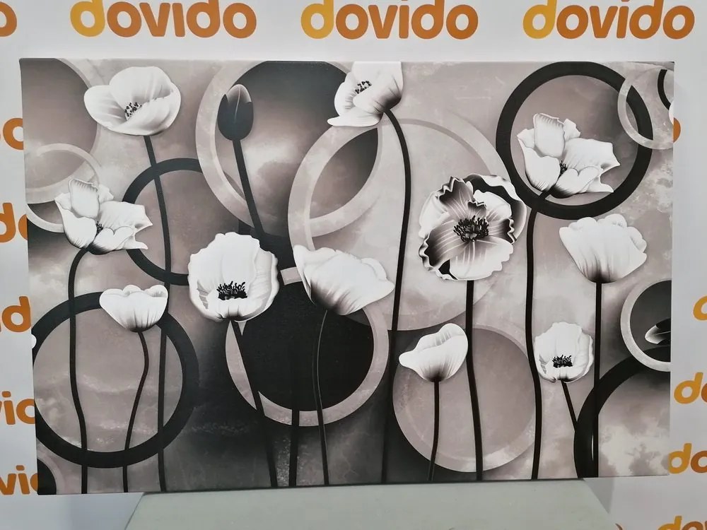Tablou maci pe un fundal abstract în design alb-negru