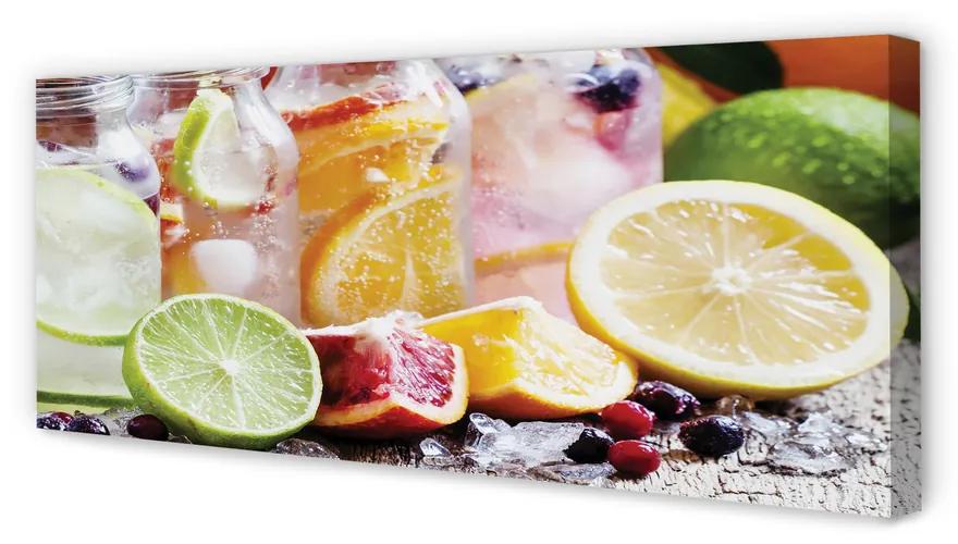 Tablouri canvas Borcanele de fructe cocktail de gheață