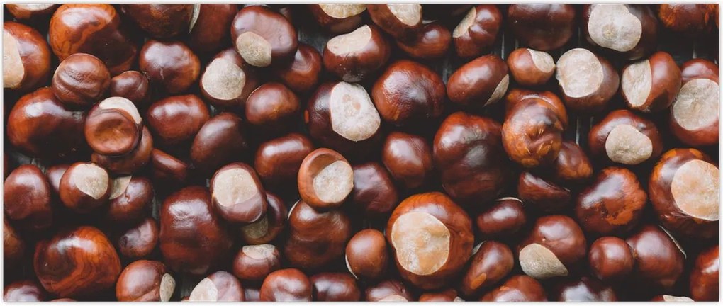 Tablou - Castane coapte (120x50 cm)