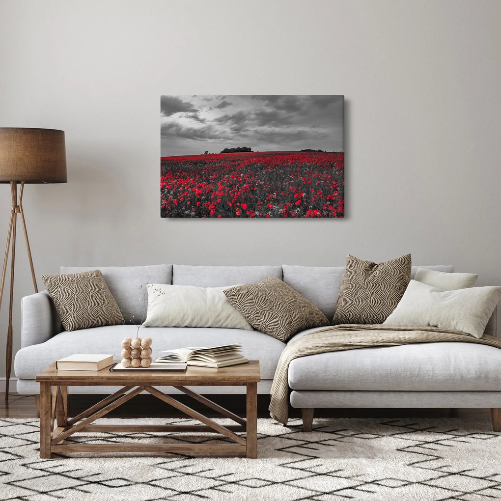Tablou cu maci (90x60 cm)