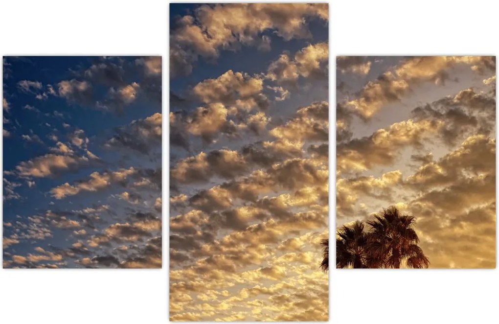 Tablou - Palmieri între nori (90x60 cm)