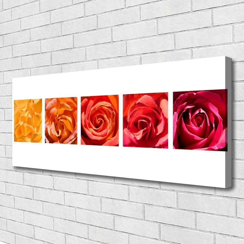 Tablou pe panza canvas Trandafiri Floral Galben Portocaliu Roșu