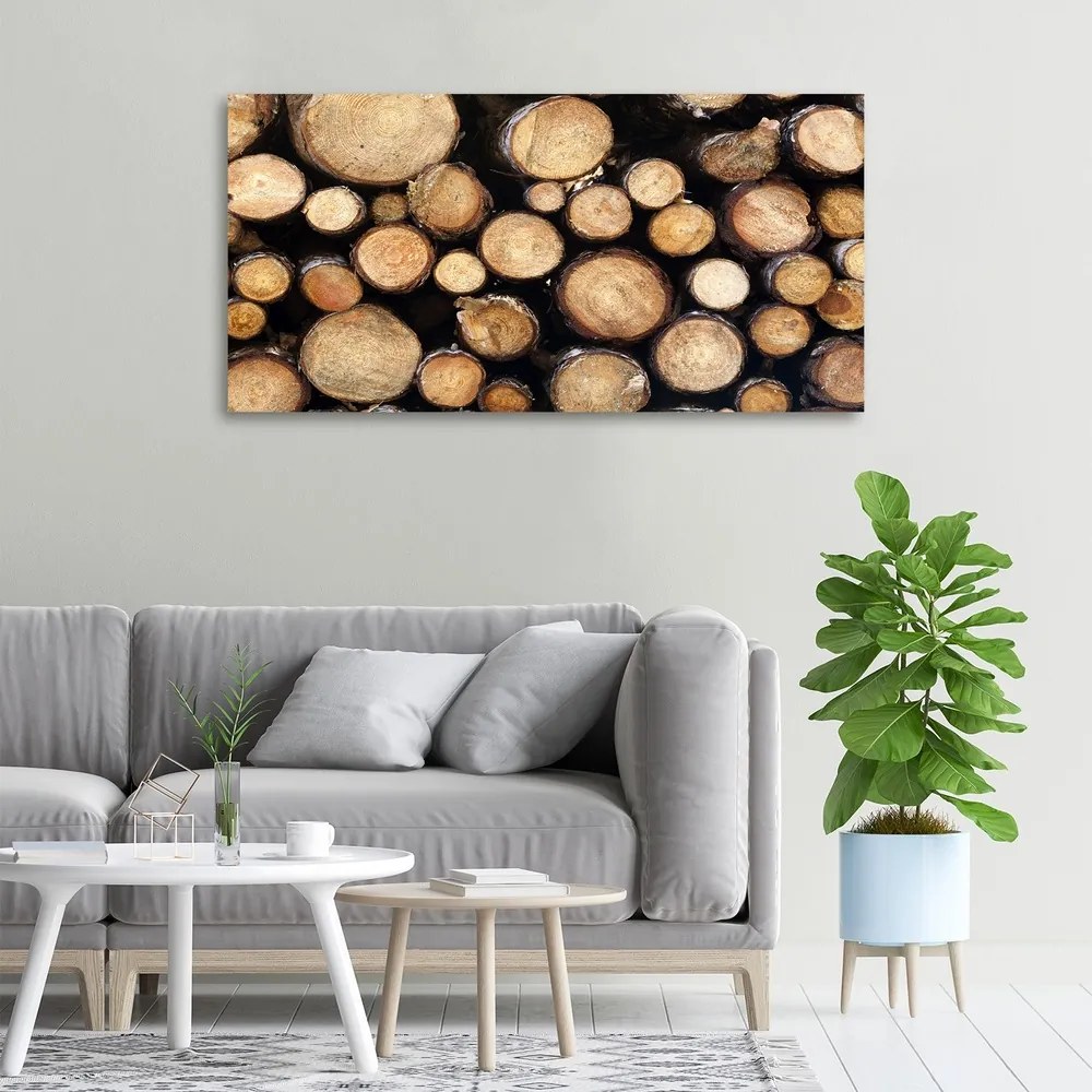Tablou canvas Busteni