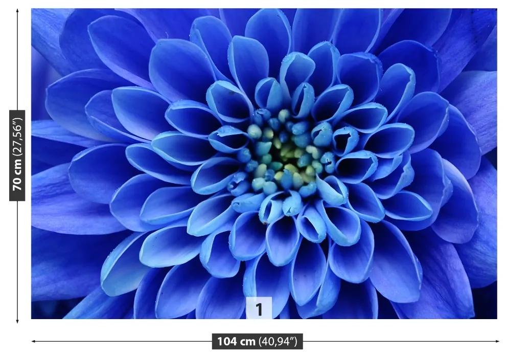 Fototapet floare albastră