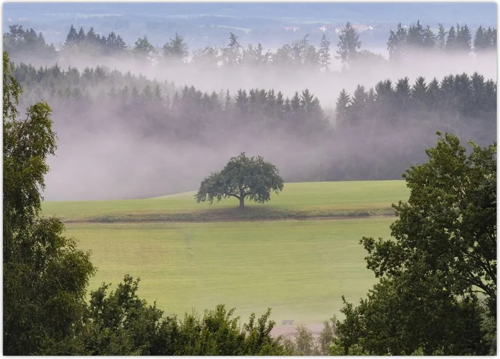 Tablou - Lunca cu copac (70x50 cm)