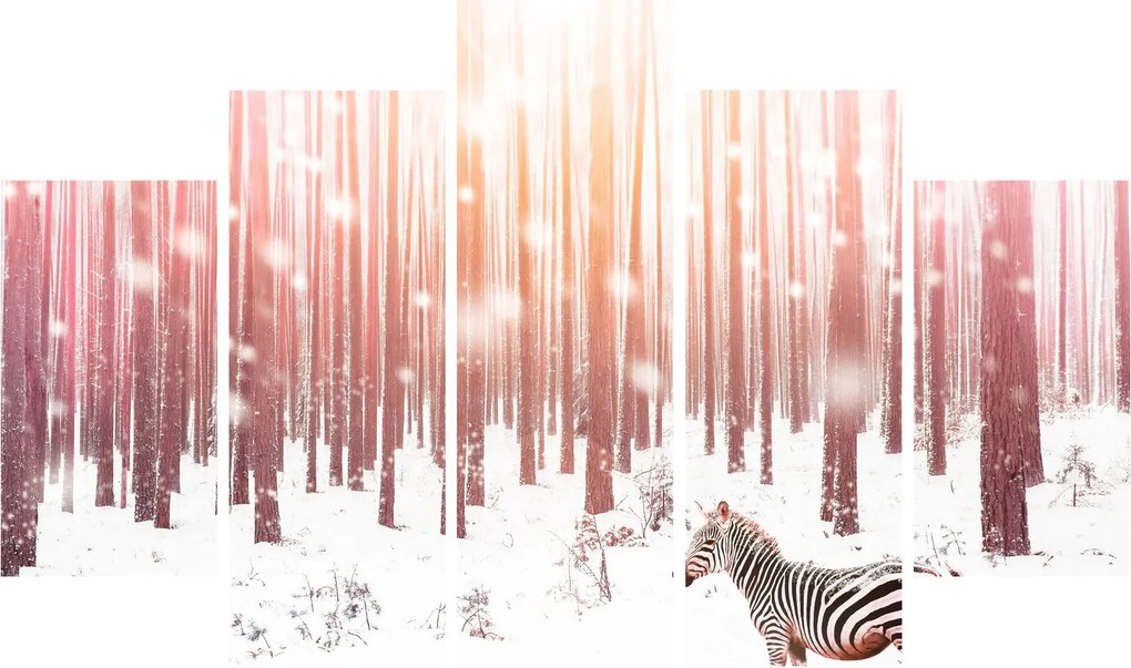 Tablou - Zebra în pădurea înzăpezită (150x105 cm)