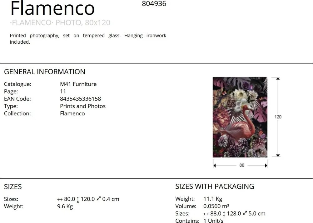 Tablou de perete decorativ Flamenco,80x120cm