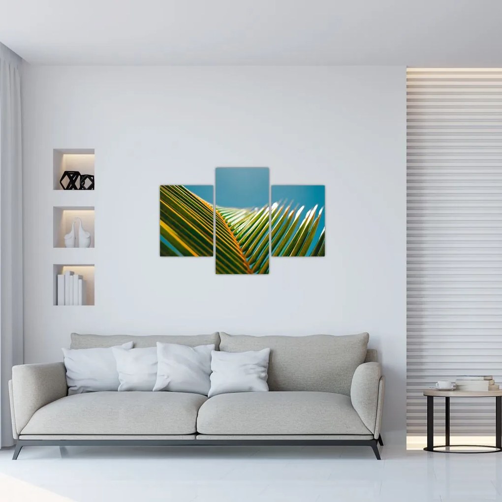 Tablou - Frunze de palmier (90x60 cm)