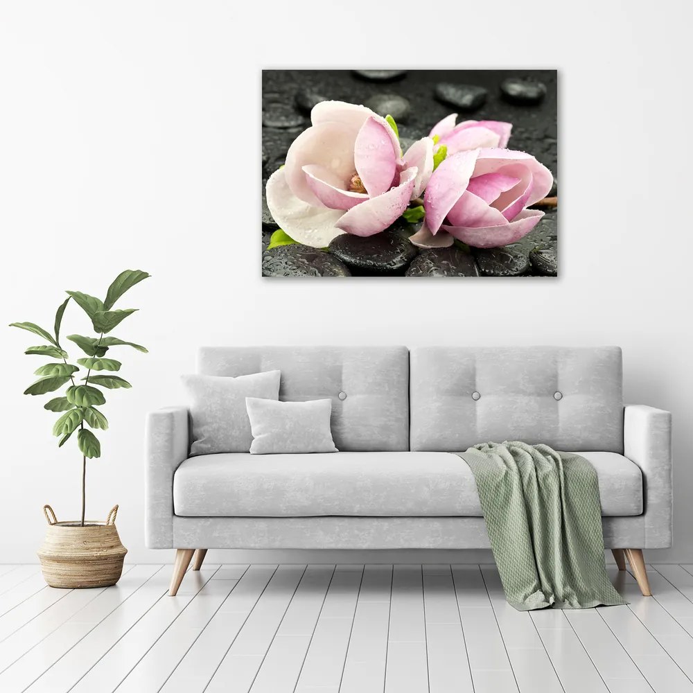 Print pe pânză Magnolia zen piatra