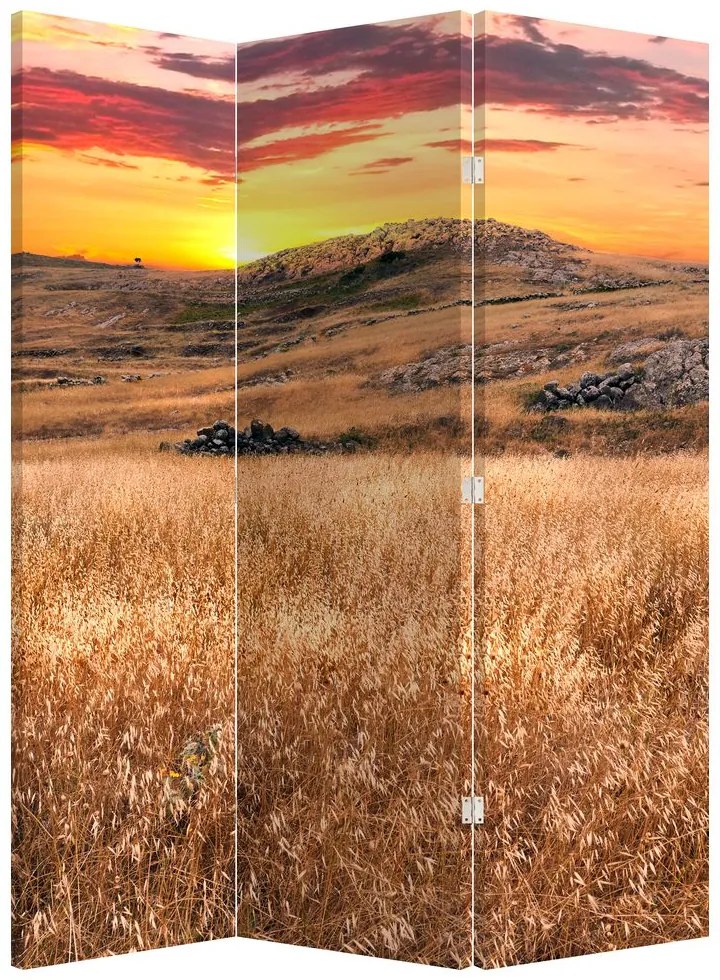Paravan - Câmp (126x170 cm)
