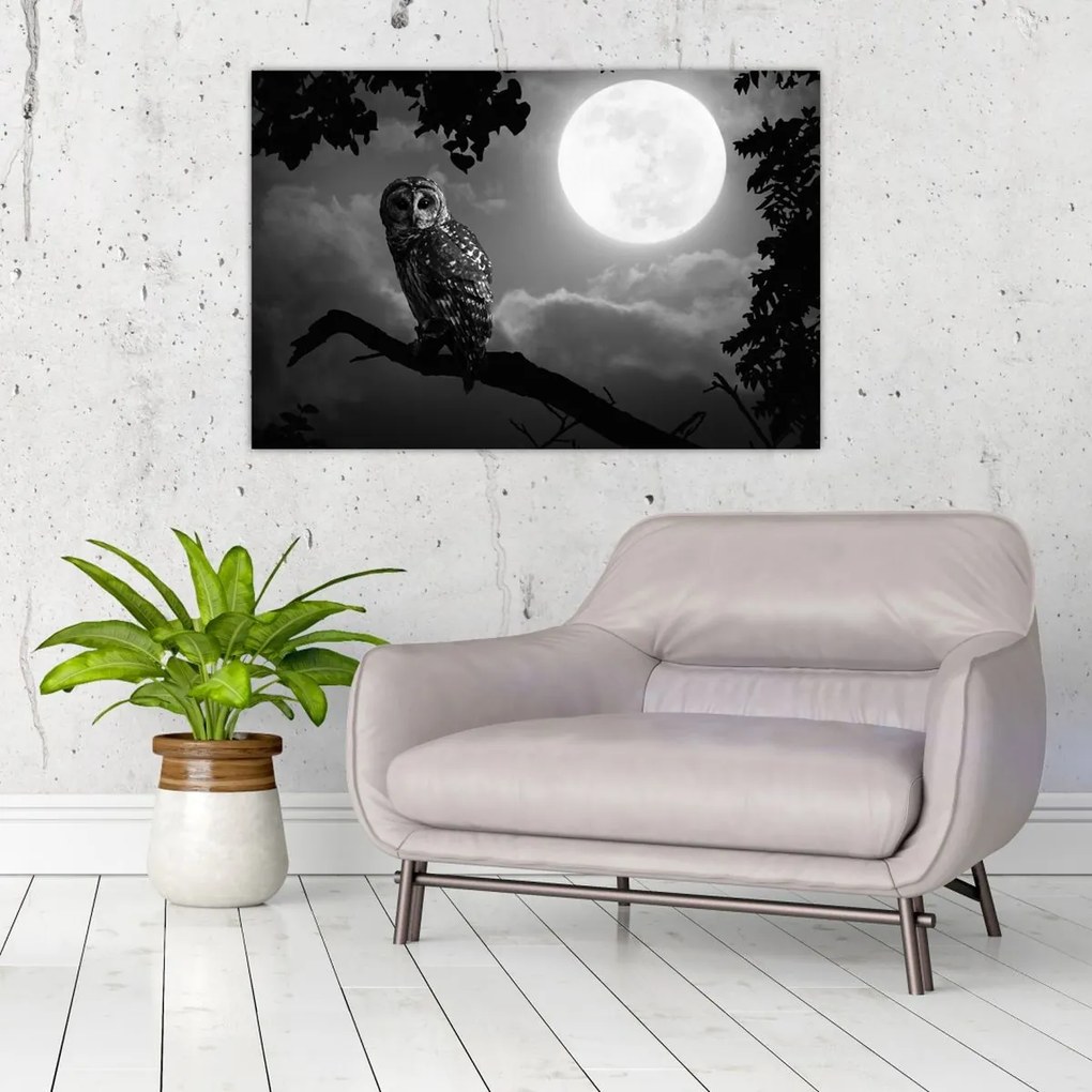 Tablou - Bufniță de noapte, alb și negru (90x60 cm)