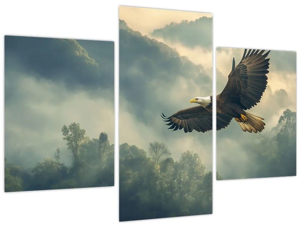 Tablou - Vultur în zbor (90x60 cm)