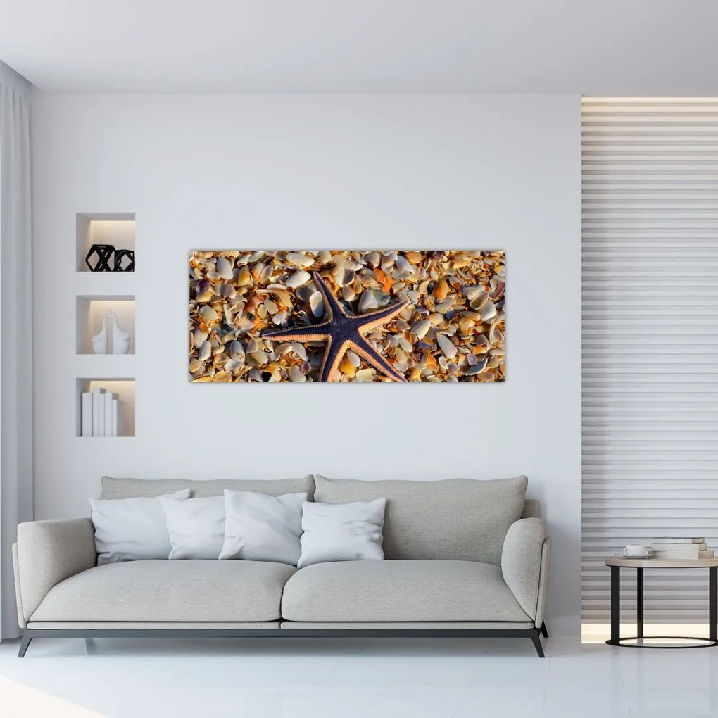 Tablou cu stea de mare (120x50 cm)
