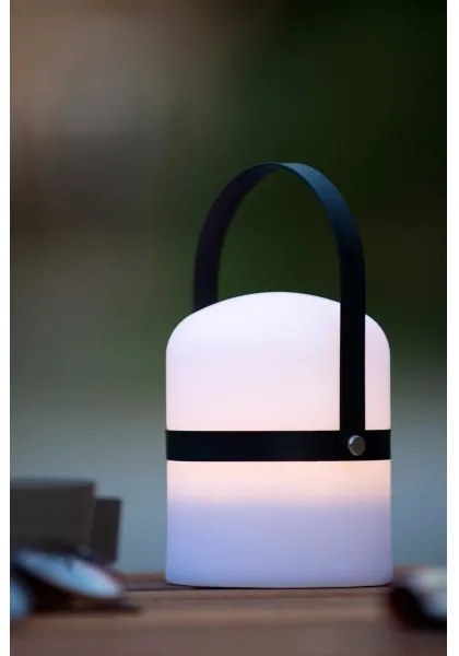 Lampă LED dimabilă de exterior Lucide 06802/01/30 LITTLE JOE LED/0,3W/3,7V IP44