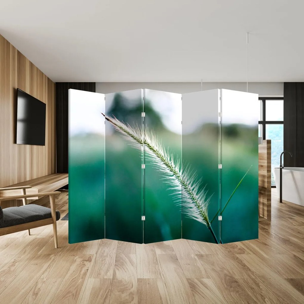 Paravan - Fir de iarbă (210x170 cm)